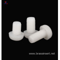 M8 M10 white nylon plastic machine screw